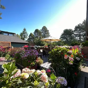 Garden In -beautiful In Guest house Victoria